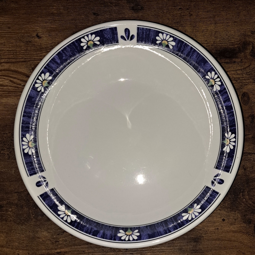Oneida Spring Daisy Kitchenware  Very Beautiful